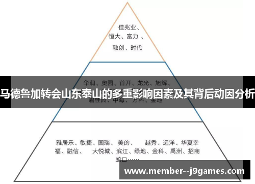马德鲁加转会山东泰山的多重影响因素及其背后动因分析