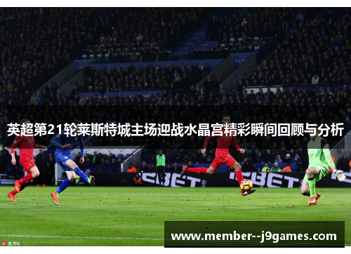 英超第21轮莱斯特城主场迎战水晶宫精彩瞬间回顾与分析